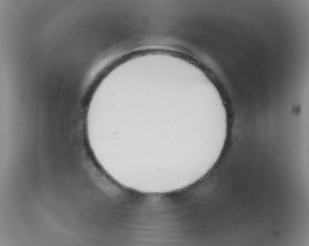 X0000113201360200910221031