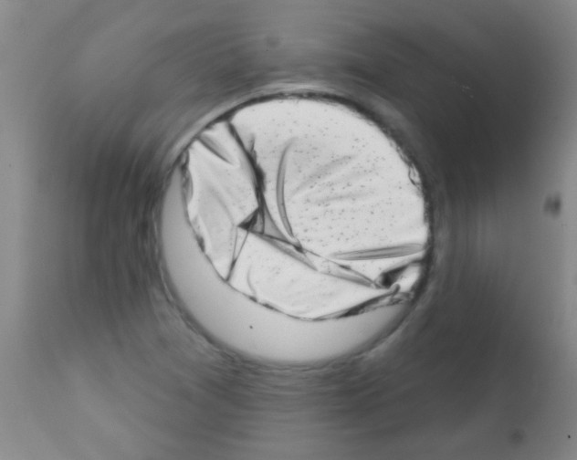 X0000113201361200910221031