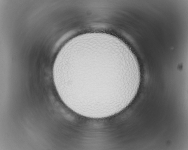 X0000113201362200910221031
