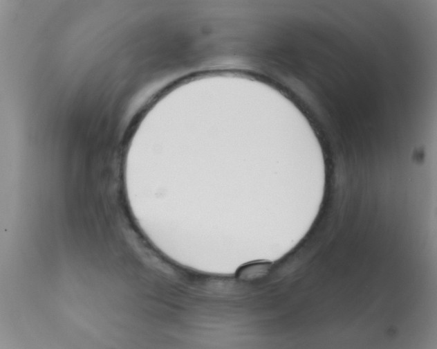 X0000113201364200910221030