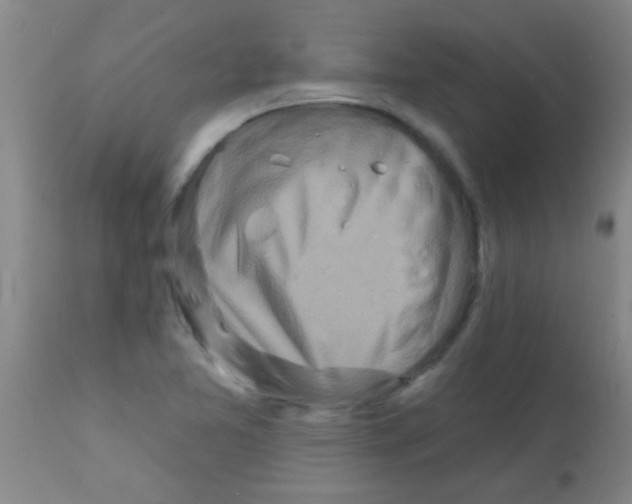 X0000113201365200910221030