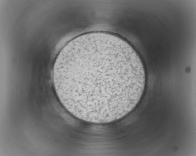 X0000113201366200910221030