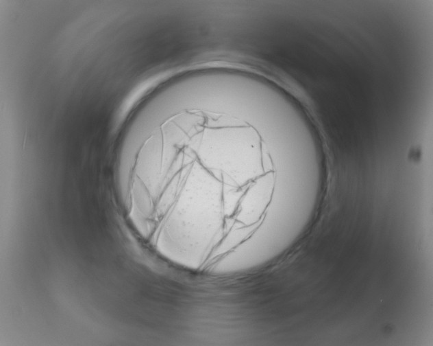 X0000113201368200910221030