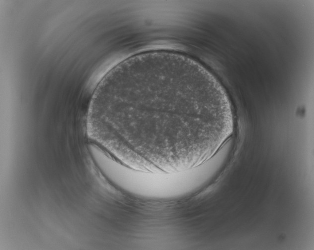 X0000113201369200910221030
