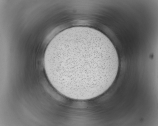 X0000113201370200910221030