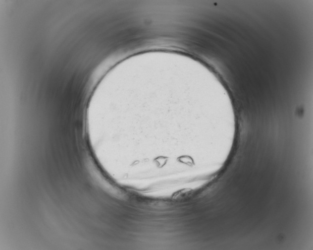 X0000113201371200910221030