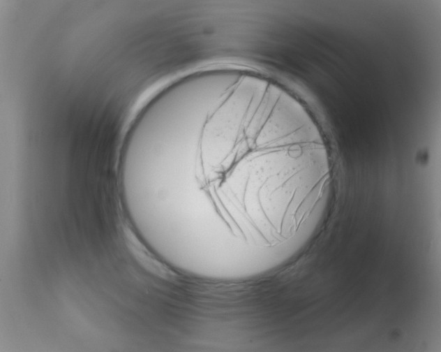 X0000113201372200910221030