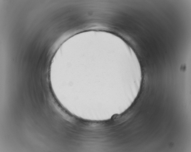 X0000113201375200910221030