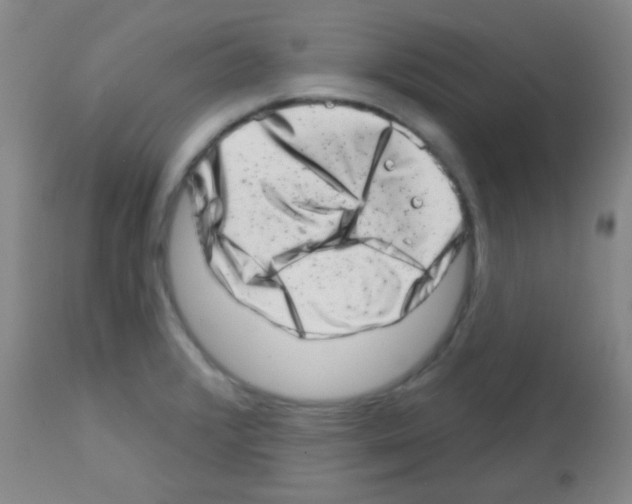 X0000113201376200910221030