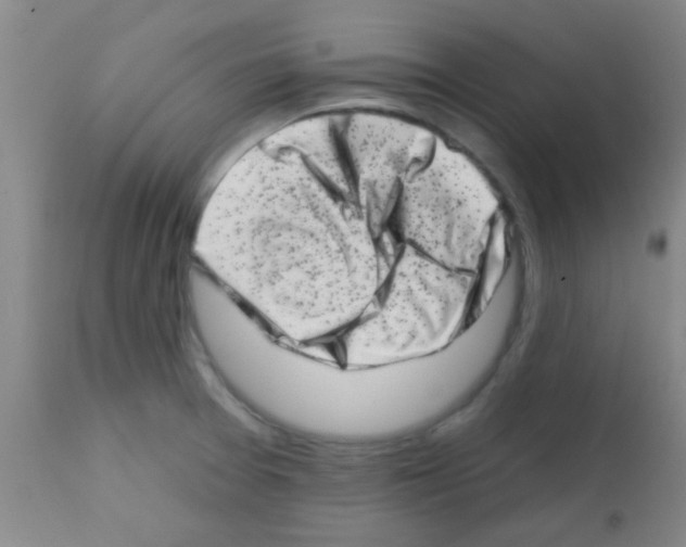 X0000113201377200910221030