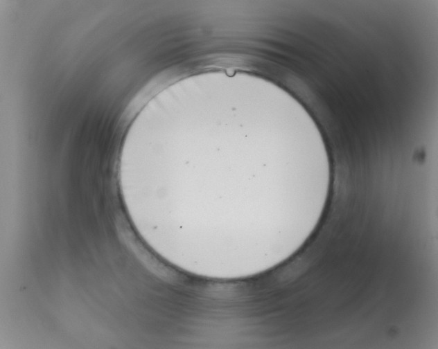 X0000113201378200910221030