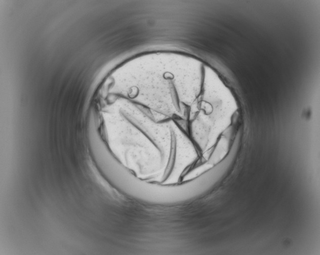 X0000113201380200910221030