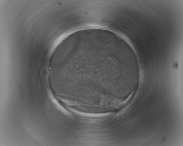 X0000113201381200910221030