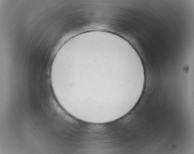 X0000113201382200910221030