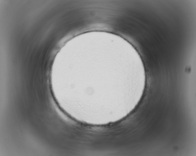 X0000113201383200910221030