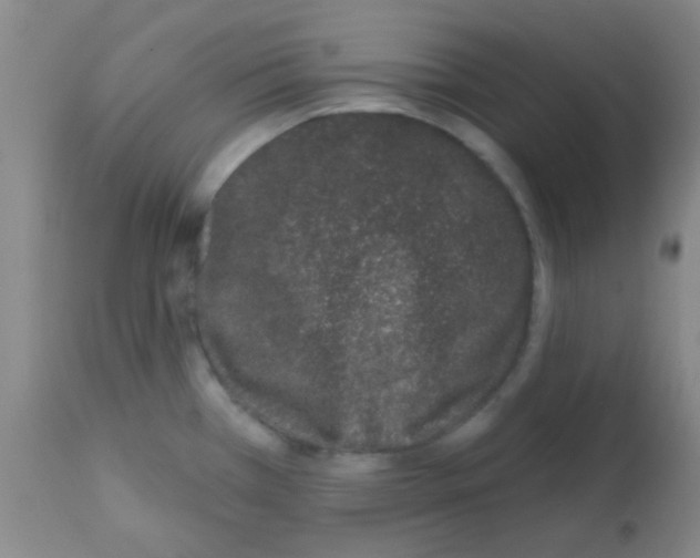 X0000113201385200910221030
