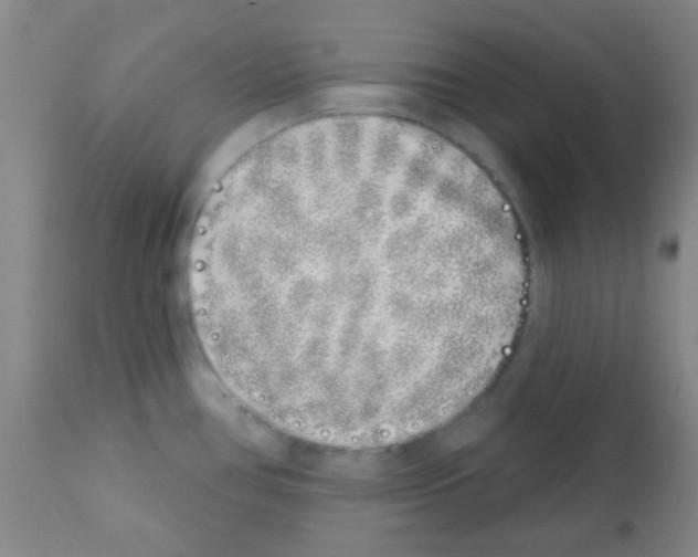 X0000113201386200910221030