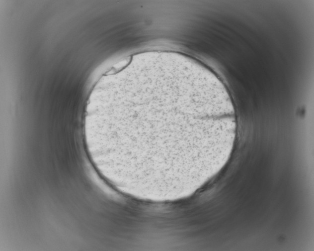 X0000113201387200910221030