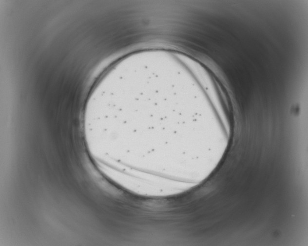 X0000113201388200910221030