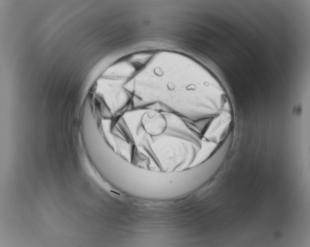 X0000113201389200910221030