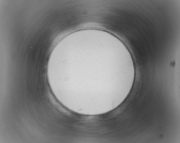 X0000113201390200910221030