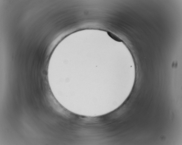 X0000113201392200910221030