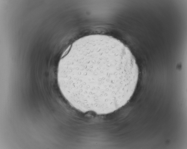 X0000113201394200910221029