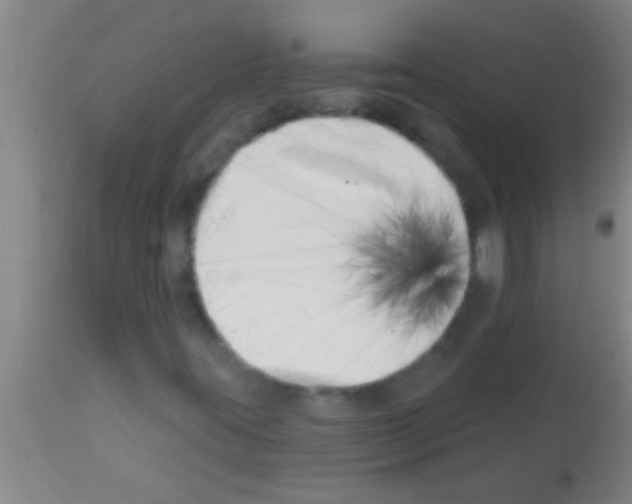 X0000113201395200910221029