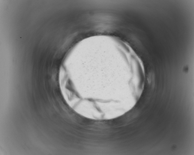 X0000113201396200910221029