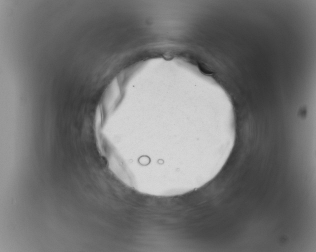 X0000113201397200910221029