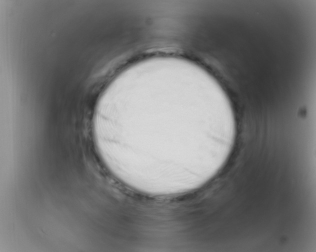 X0000113201399200910221029