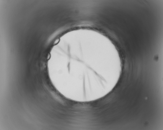 X0000113201400200910221029