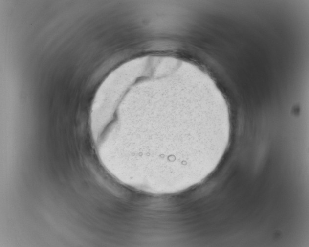 X0000113201401200910221029