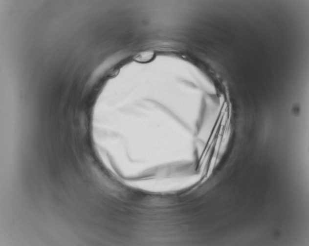 X0000113201402200910221029
