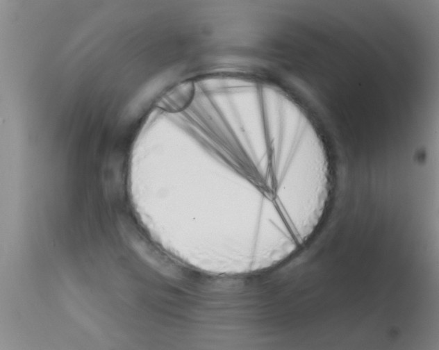 X0000113201403200910221029