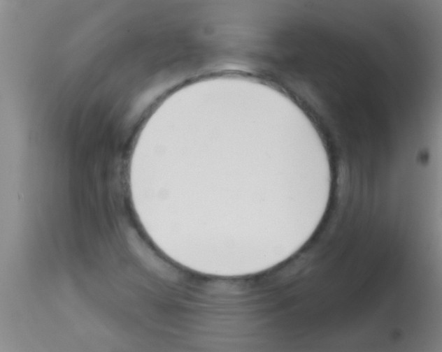 X0000113201404200910221029