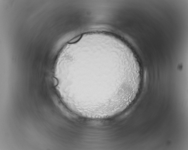 X0000113201405200910221029