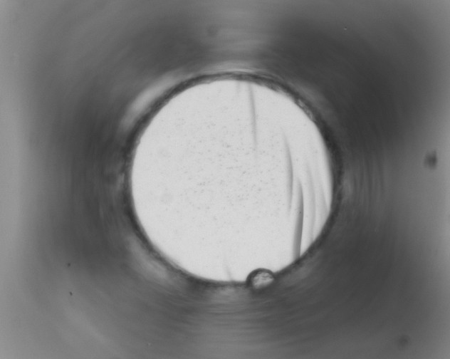 X0000113201406200910221029