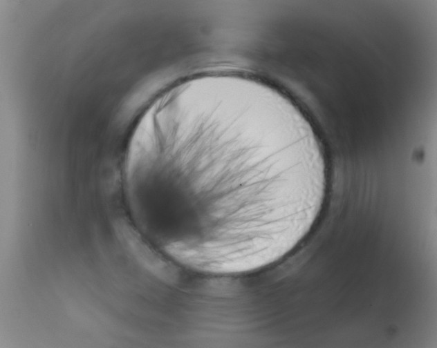 X0000113201407200910221029
