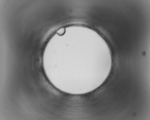 X0000113201408200910221029
