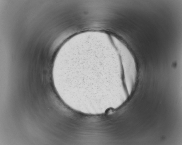 X0000113201410200910221029
