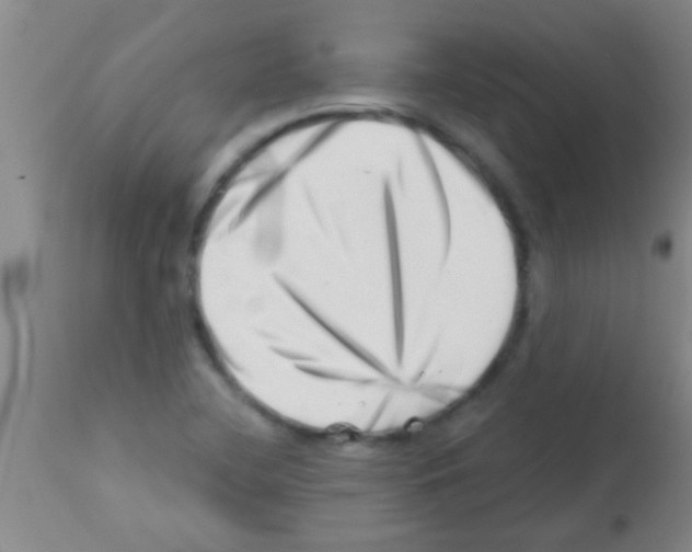 X0000113201412200910221030