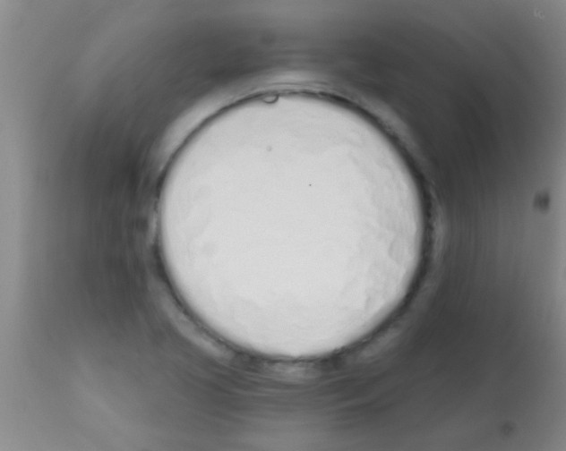 X0000113201413200910221030