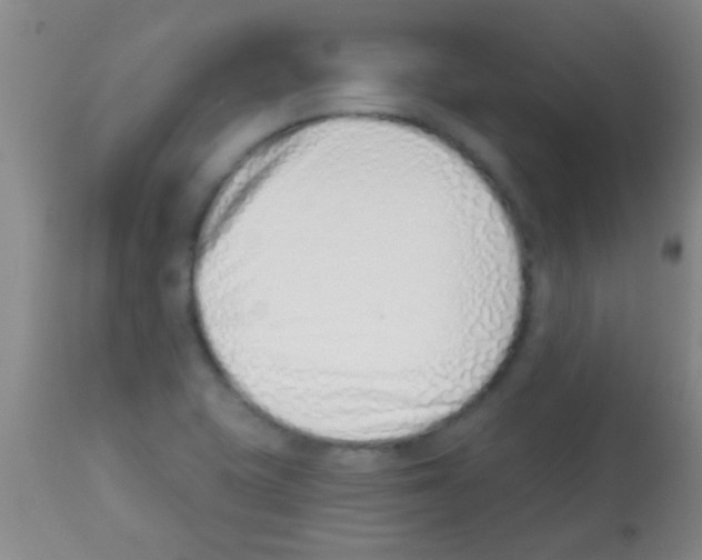 X0000113201415200910221030
