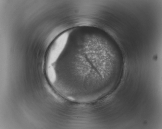 X0000113201418200910221030