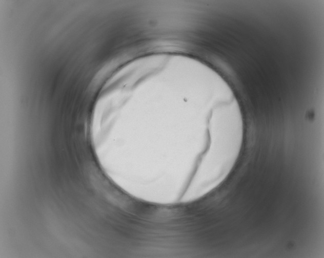 X0000113201419200910221030