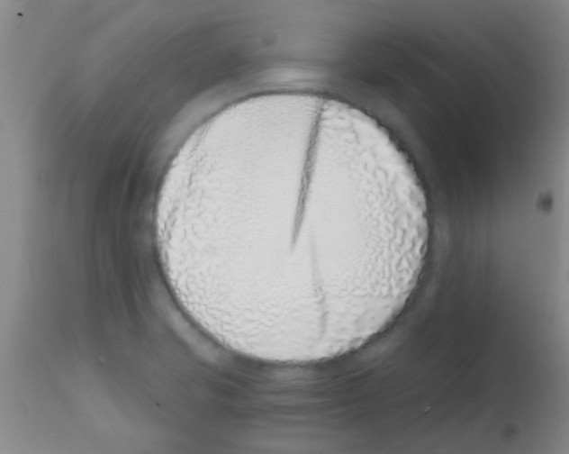 X0000113201421200910221030