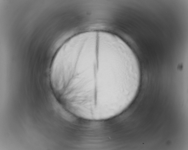 X0000113201423200910221030
