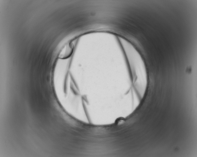X0000113201424200910221030