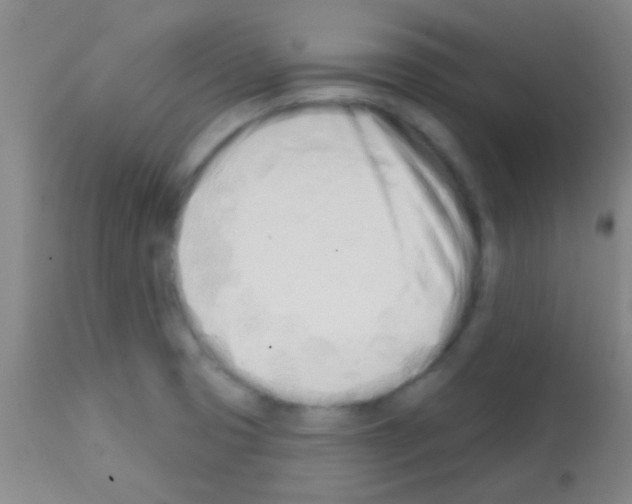 X0000113201425200910221030
